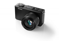SIGMA  DP3 Merrill 
