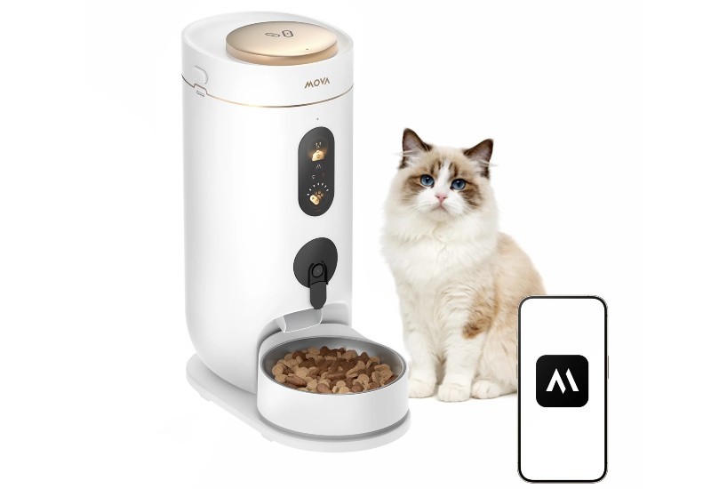 A_